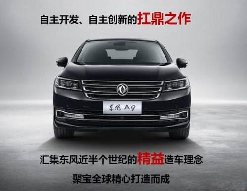 DONGFENG FENGSHEN A9